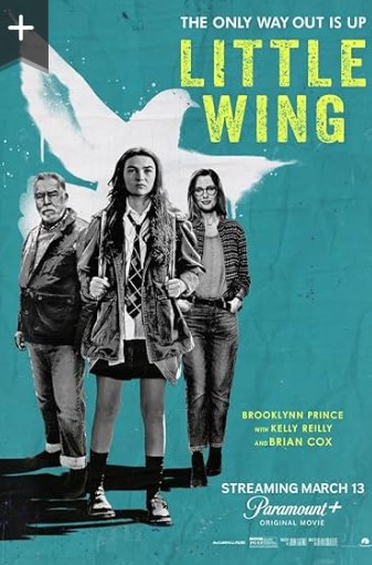 Little Wing 2024