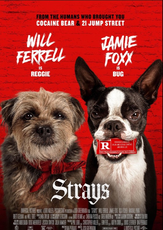Strays 2023