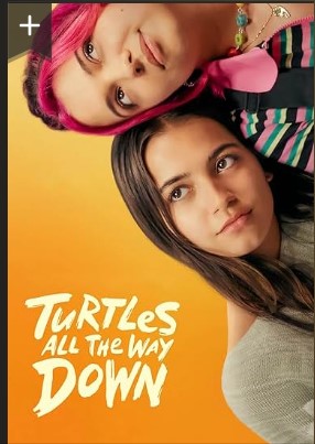 Turtles All the Way Down 2024