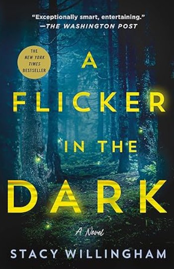 A Flicker in the Dark A Novel by Stacy Willingham Ebook