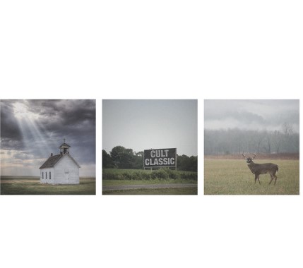 Cult Classic nothing,nowhere Digital Album